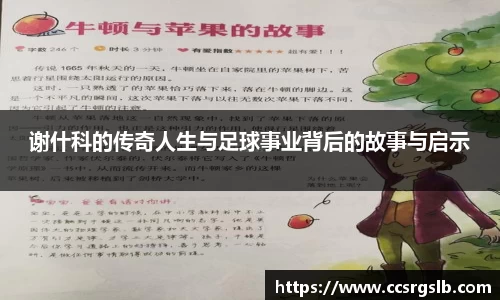 好博体育登陆人口